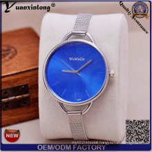 Blue Brushed Sunray Dial Silver Stainless Steel Mesh Band Slim Ladies Watch